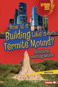 How Is a Building Like a Termite Mound?