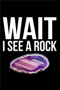 Wait I See a Rock