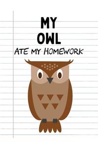 My Owl Ate My Homework