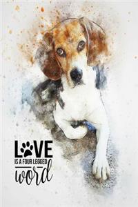Love Is a Four Legged Word