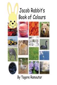 Jacob Rabbit's Book of Colour