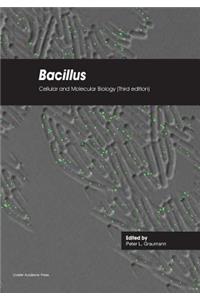 Bacillus