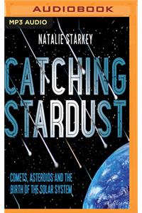 Catching Stardust