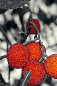Wild Fruit Notebook