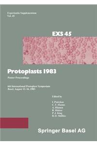 Protoplasts 1983