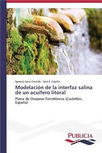 Modelación de la interfaz salina de un acuífero litoral