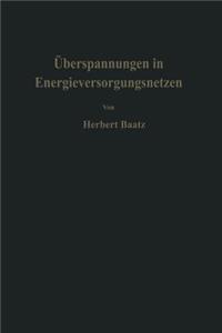 Überspannungen in Energieversorgungsnetzen