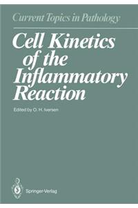 Cell Kinetics of the Inflammatory Reaction