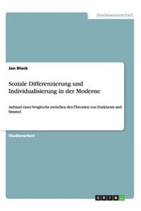 Soziale Differenzierung und Individualisierung in der Moderne
