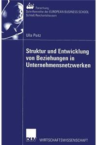 Struktur Und Entwicklung Von Beziehungen in Unternehmensnetzwerken