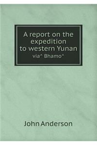 A report on the expedition to western Yunan viâ Bhamô