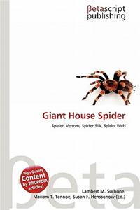 Giant House Spider