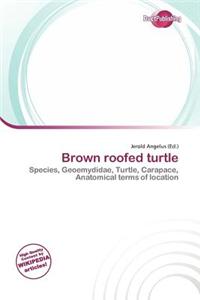 Brown Roofed Turtle