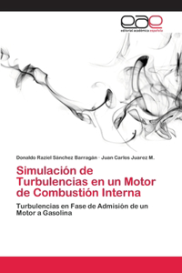 Simulación de Turbulencias en un Motor de Combustión Interna