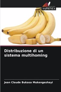 Distribuzione di un sistema multihoming
