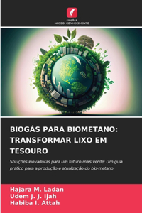 Biogás Para Biometano