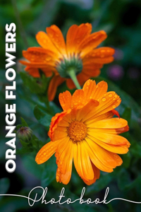 Orange Flowers Photo Book