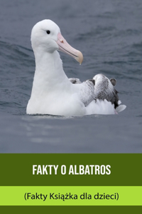 Fakty o Albatros (Fakty Książka dla dzieci)