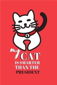 my cat is smarter than the president