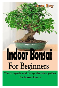 Indoor Bonsai for Beginners