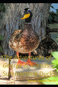 Adventures of George & Friends: Summertime Ducks