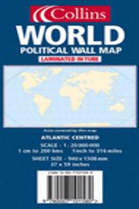 World Wall Map