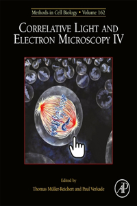 Correlative Light and Electron Microscopy IV