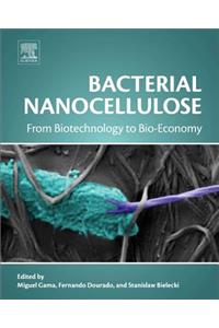 Bacterial Nanocellulose