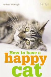How to have a Happy Cat