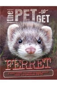 The Pet to Get: Ferret