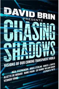 Chasing Shadows: Visions of Our Coming Transparent World