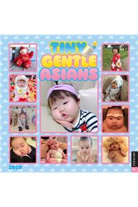 Tiny Gentle Asians 2020 Wall Calendar