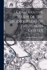 Comparative Study of the Sensory Areas of the Human Cortex