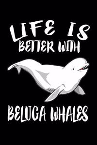 Life Is Better With Beluga Whales