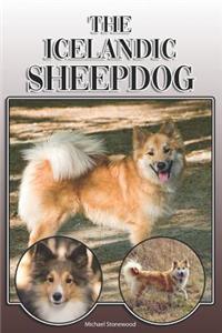 Icelandic Sheepdog