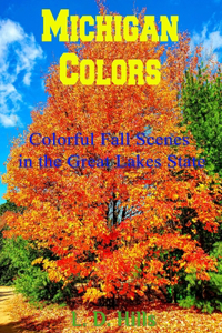 Michigan Colors