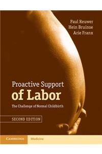 Proactive Support of Labor