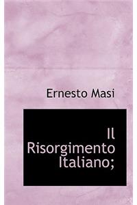 Il Risorgimento Italiano;