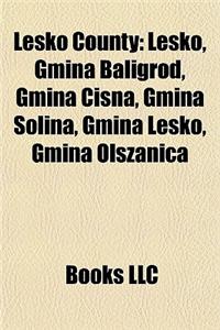 Lesko County