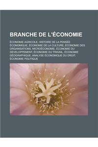 Branche de L'Economie