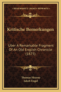 Kritische Bemerkungen