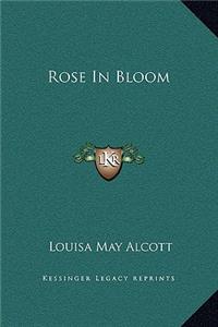 Rose In Bloom