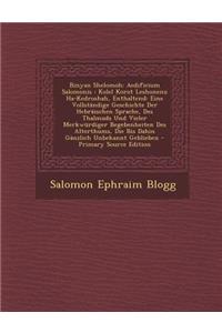 Binyan Shelomoh: Aedificium Salomonis: Kolel Korot Leshonenu Ha-Kedroshah, Enthaltend: Eine Vollstandige Geschichte Der Hebraischen Sprache, Des Thalmuds Und Vieler Merkwurdiger Begebenheiten Des Alterthums, Die Bis Dahin Ganzlich Unbekannt Geblieb