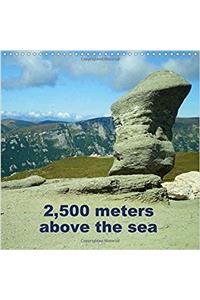 2,500 Meters Above the Sea 2017