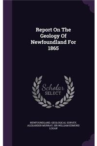 Report On The Geology Of Newfoundland For 1865