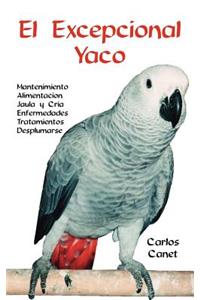 Excepcional Yaco