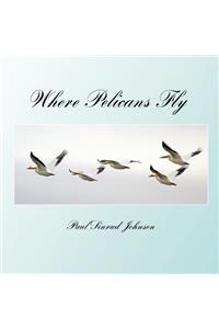 where pelicans fly