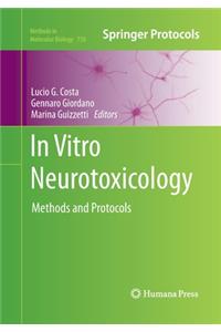 In Vitro Neurotoxicology