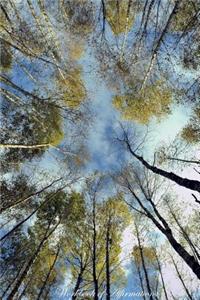Birch Forest Sky Workbook of Affirmations Birch Forest Sky Workbook of Affirmations