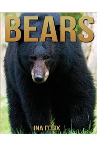 Bears